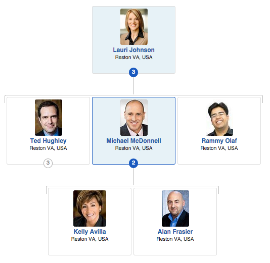 An example of the org chart component
