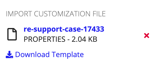 Import Customization File pane