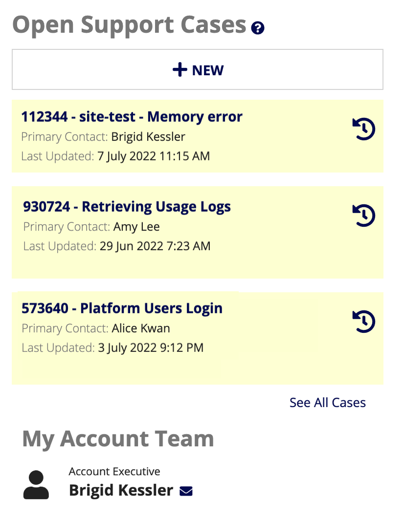 screenshot of the Open Support Cases section in the Home tab