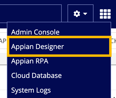 /cocs installation-appian designer