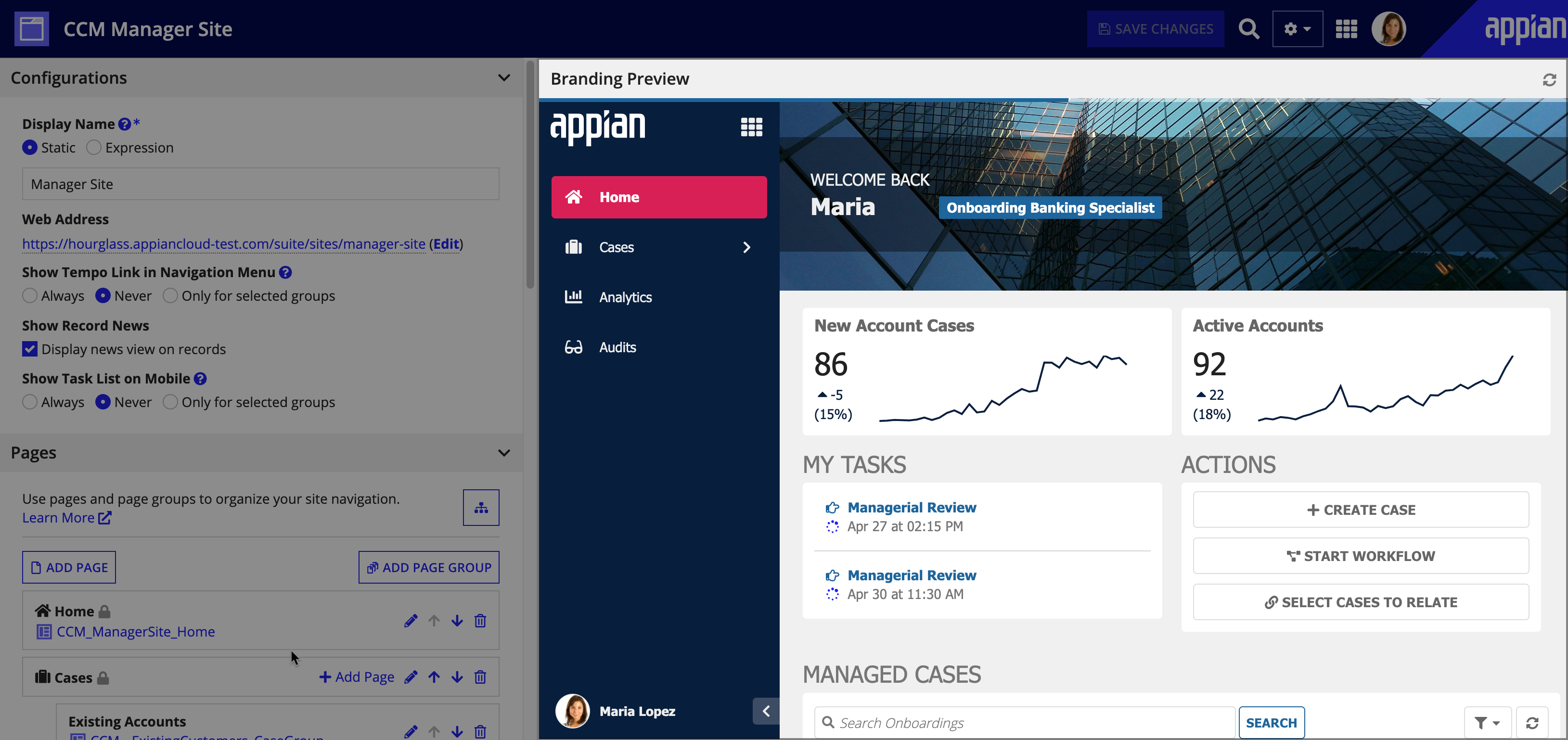 screenshot of branding preview in site object
