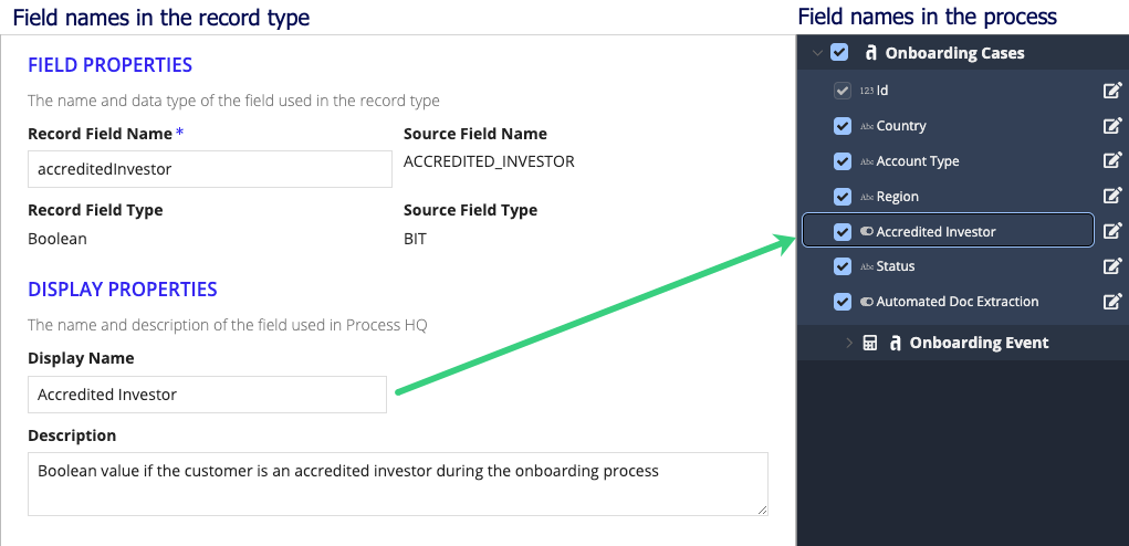 screenshot showing user-friendly display names for fields in Process HQ