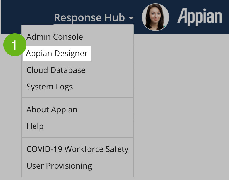 appian designer selection