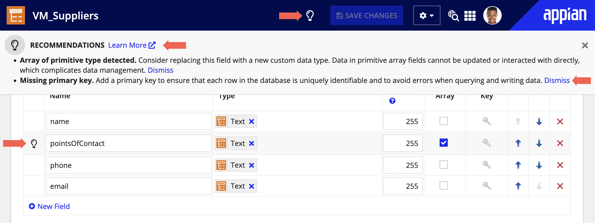 images/appian_recommendations_data_type_designer_annotated.png