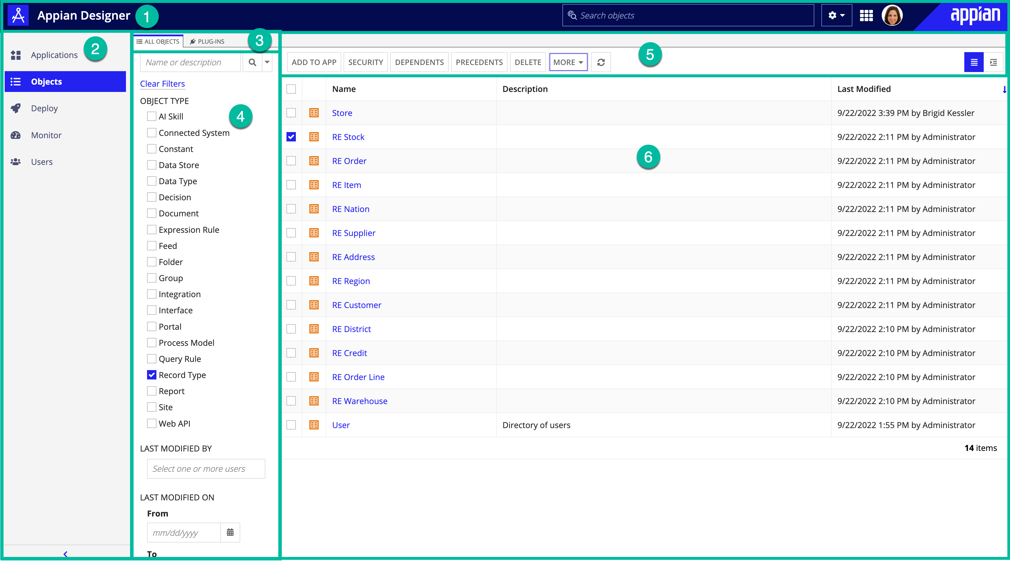 screenshot of the Objects view in Appian Designer