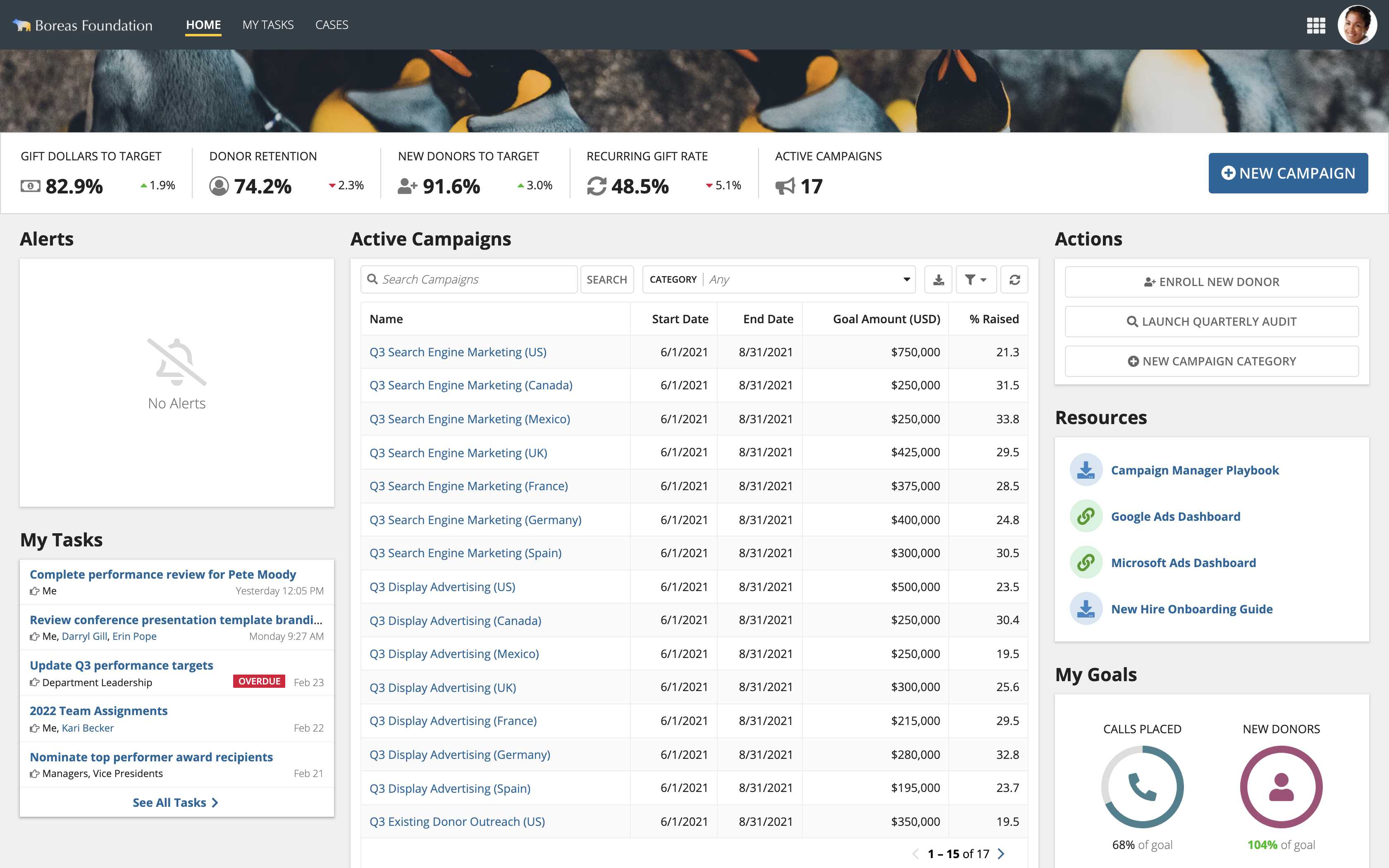 Preview of a desktop SAIL layout for a(n) non-profit fundraising campaign dashboard