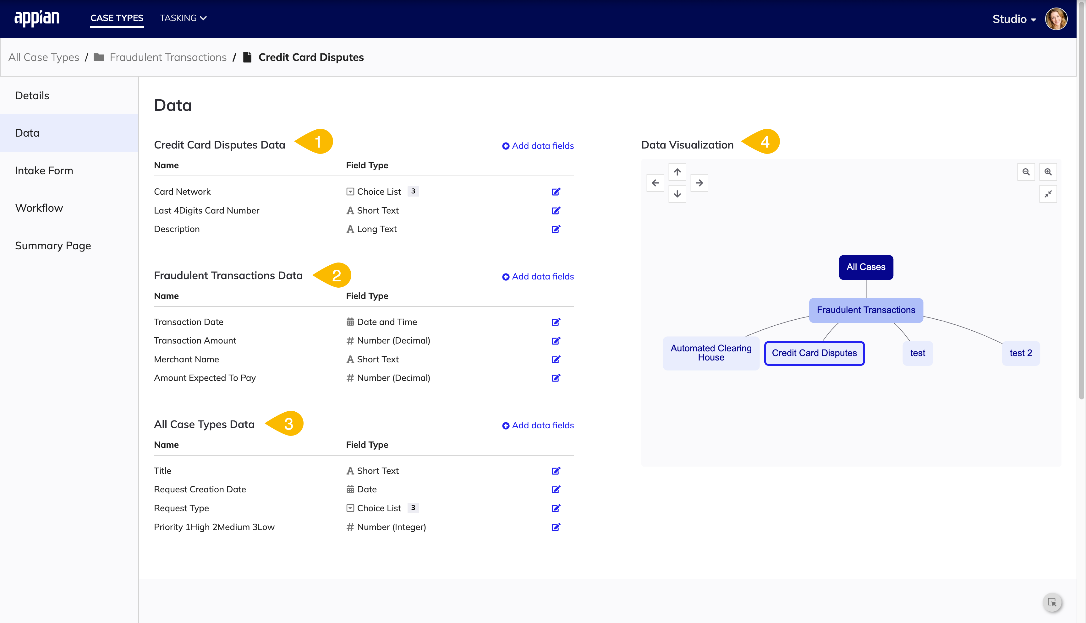 screenshot of the Data tab in a case type