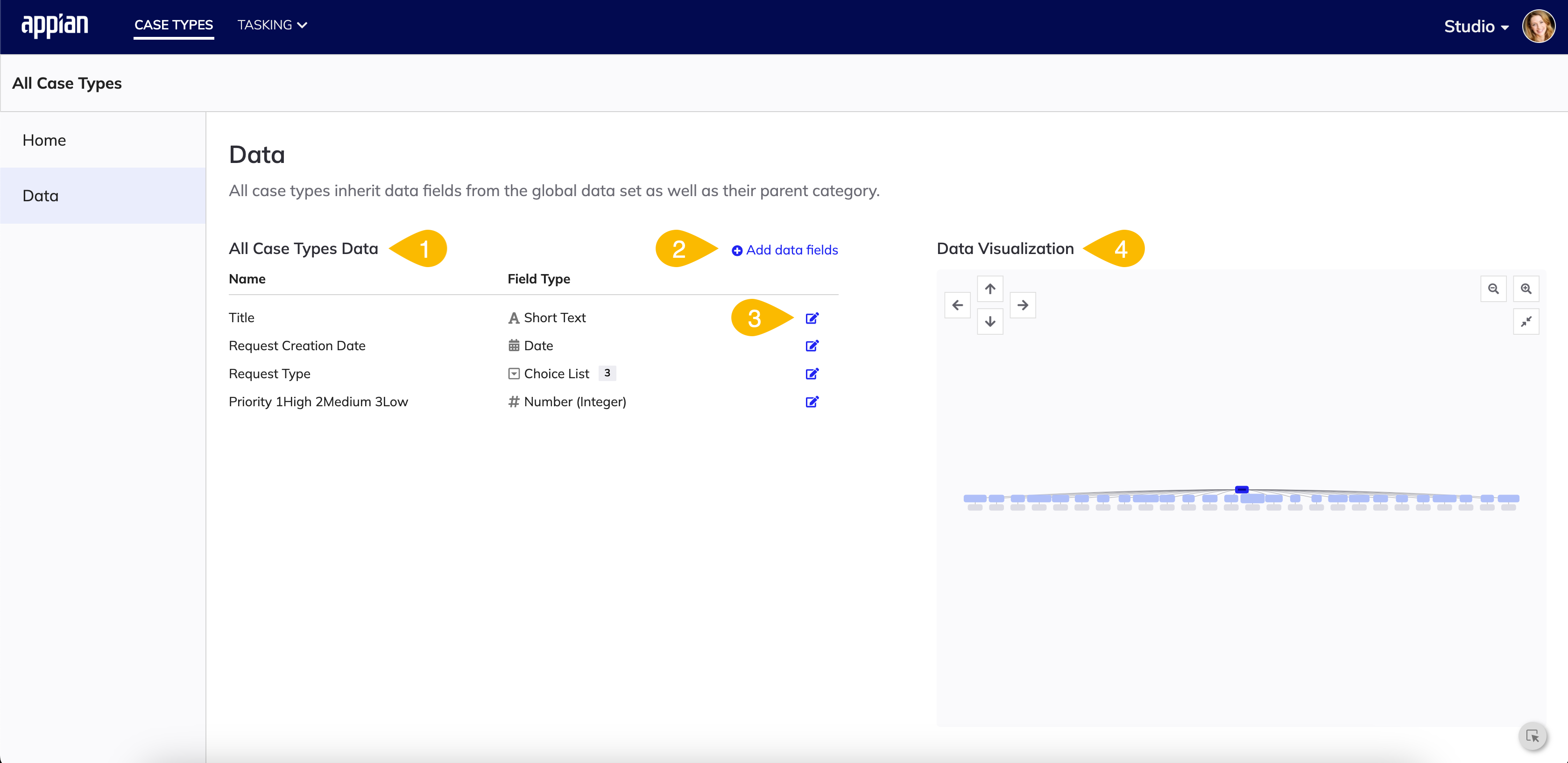 screenshot of the Data tab for all case types