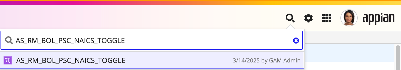 Appian Designer: Search for AS_RM_BOL_PSC_NAICS_TOGGLE constant.