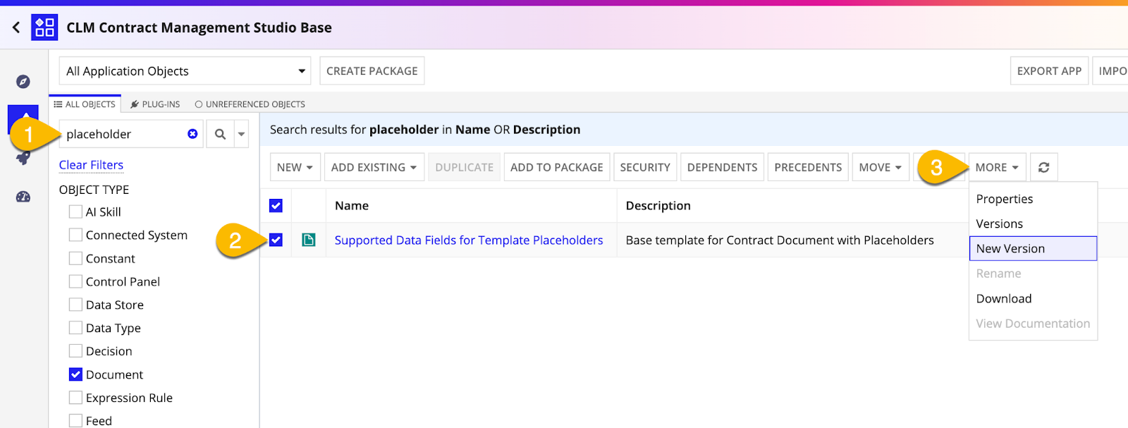 Appian Designer document list with the primary template selected and the MORE menu showing New Version option.