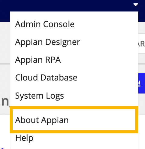 Admin Console navigation menu with About Appian option highlighted