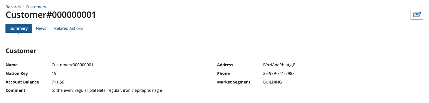 customer record summary view