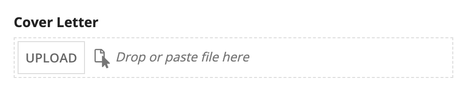 screenshot of a single file upload with a single file