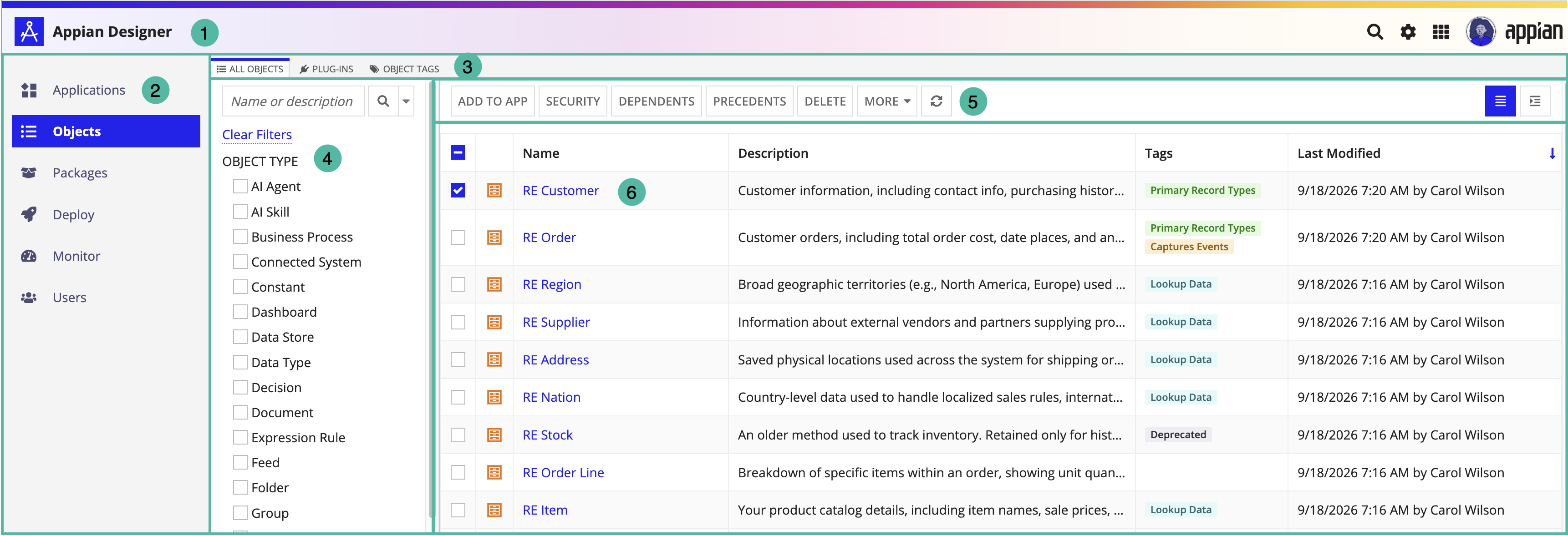screenshot of the Objects view in Appian Designer