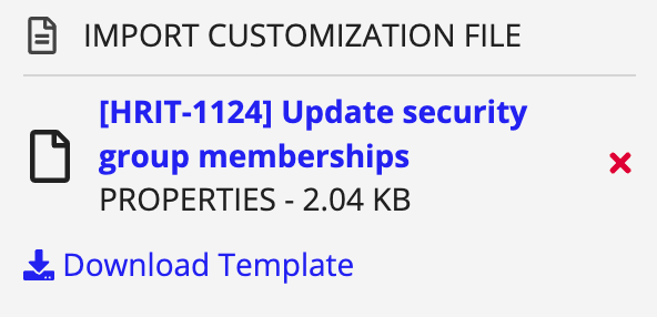 Import Customization File pane