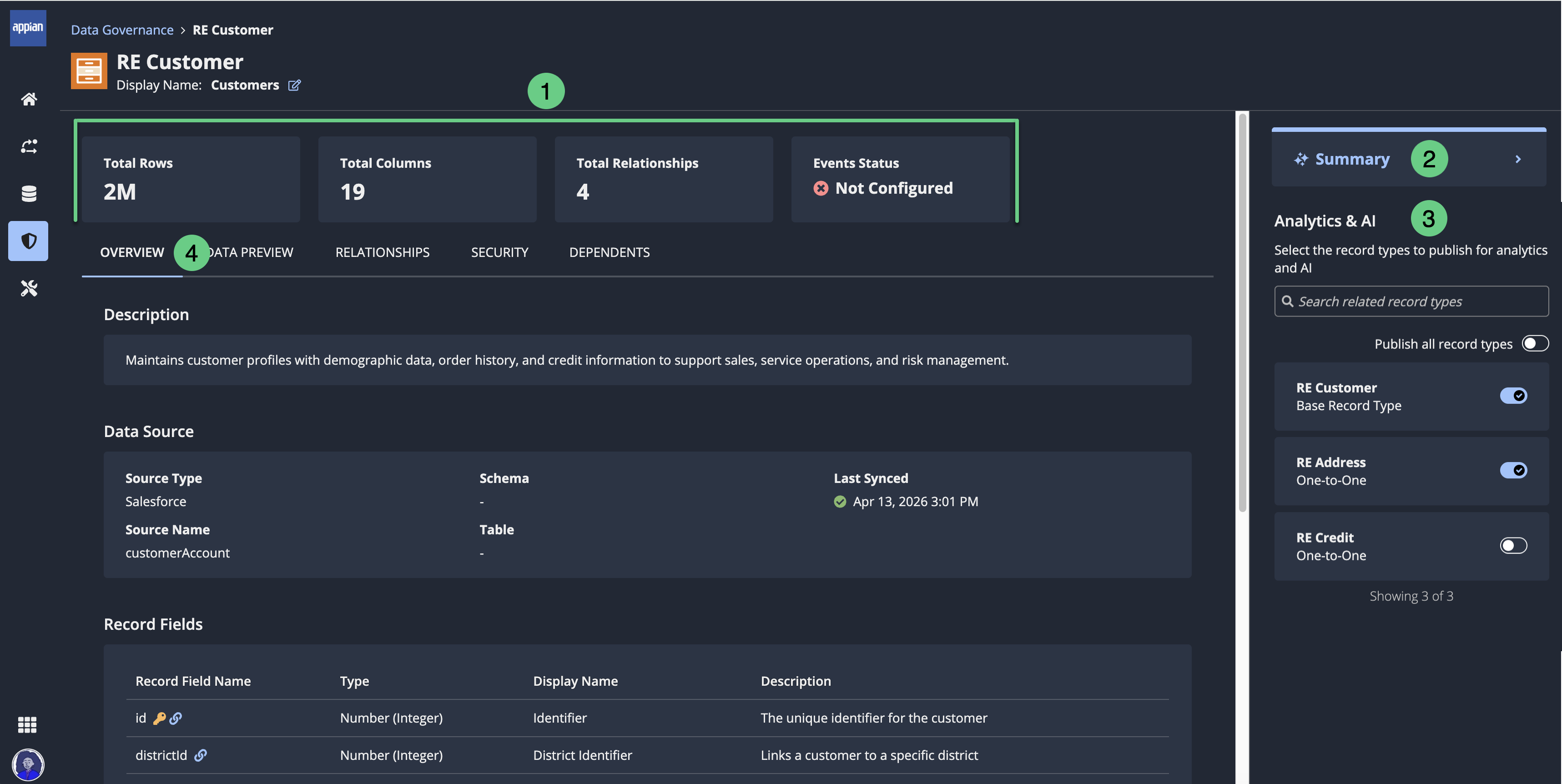 screenshot of the record type details overview tab showing the record type description, details, and a list of fields