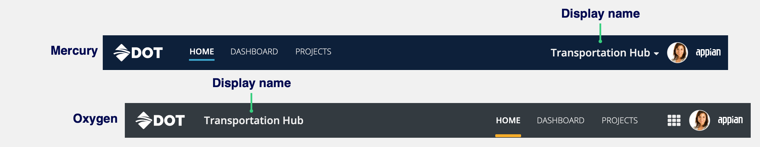 ds-images/show-portal-display-name.png