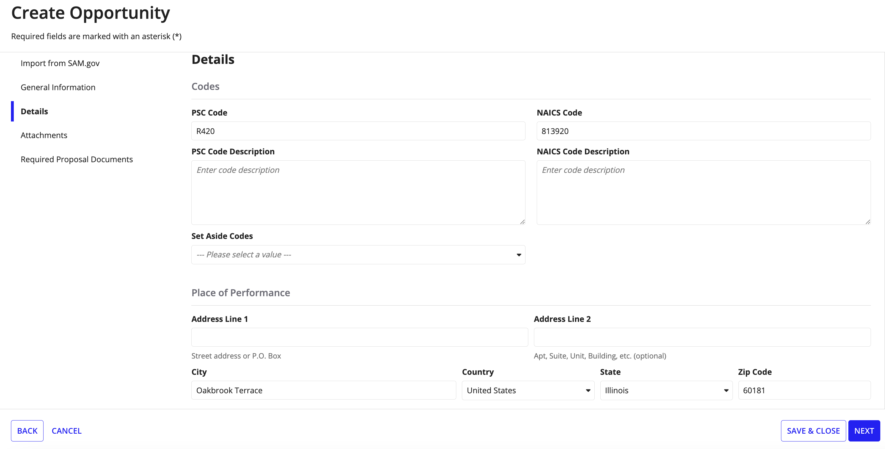 The Details step of the Create Opportunity wizard with fields for NAICS Code, NIGP or PSC Code, Set Aside Codes, and Place of Performance address.