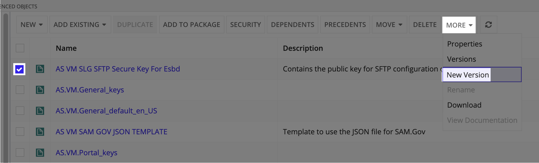 The Document list in Appian Designer with the MORE menu expanded showing the New Version option for the SFTP Secure Key document.
