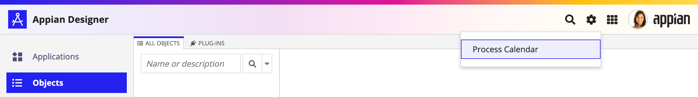 Access Process Calendar