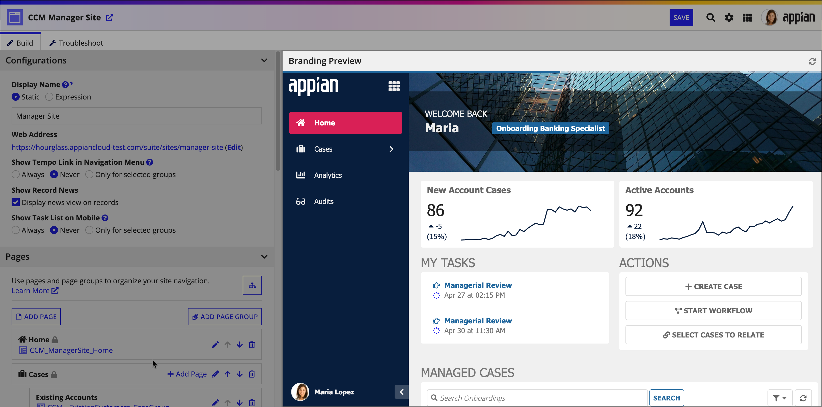 screenshot of branding preview in site object