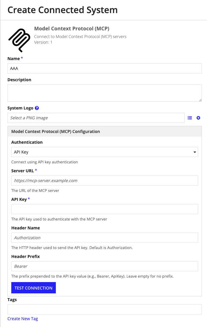 screenshot of an MCP connected system configured with API key authentication