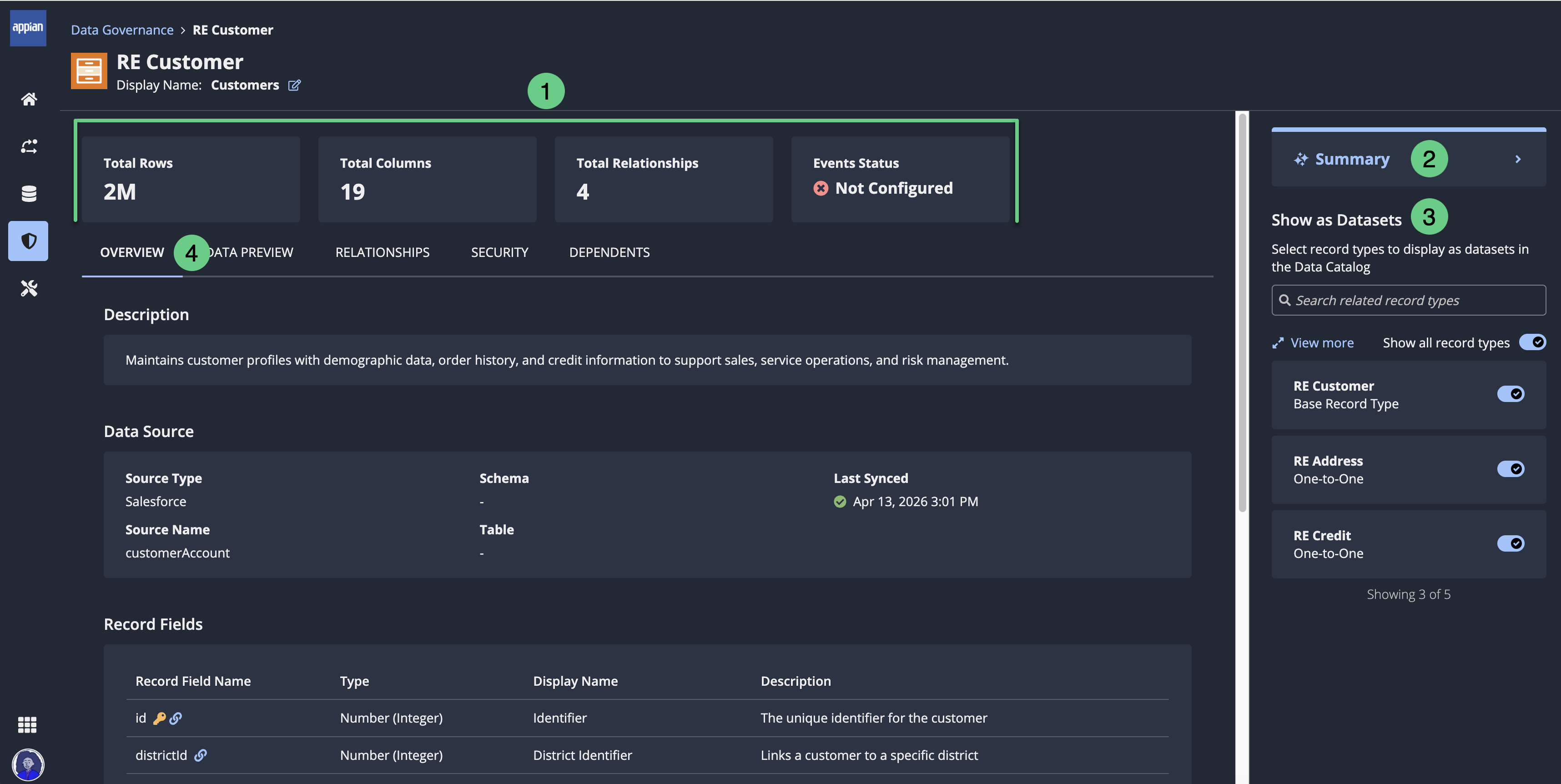 screenshot of the record type details overview tab showing the record type description, details, and a list of fields