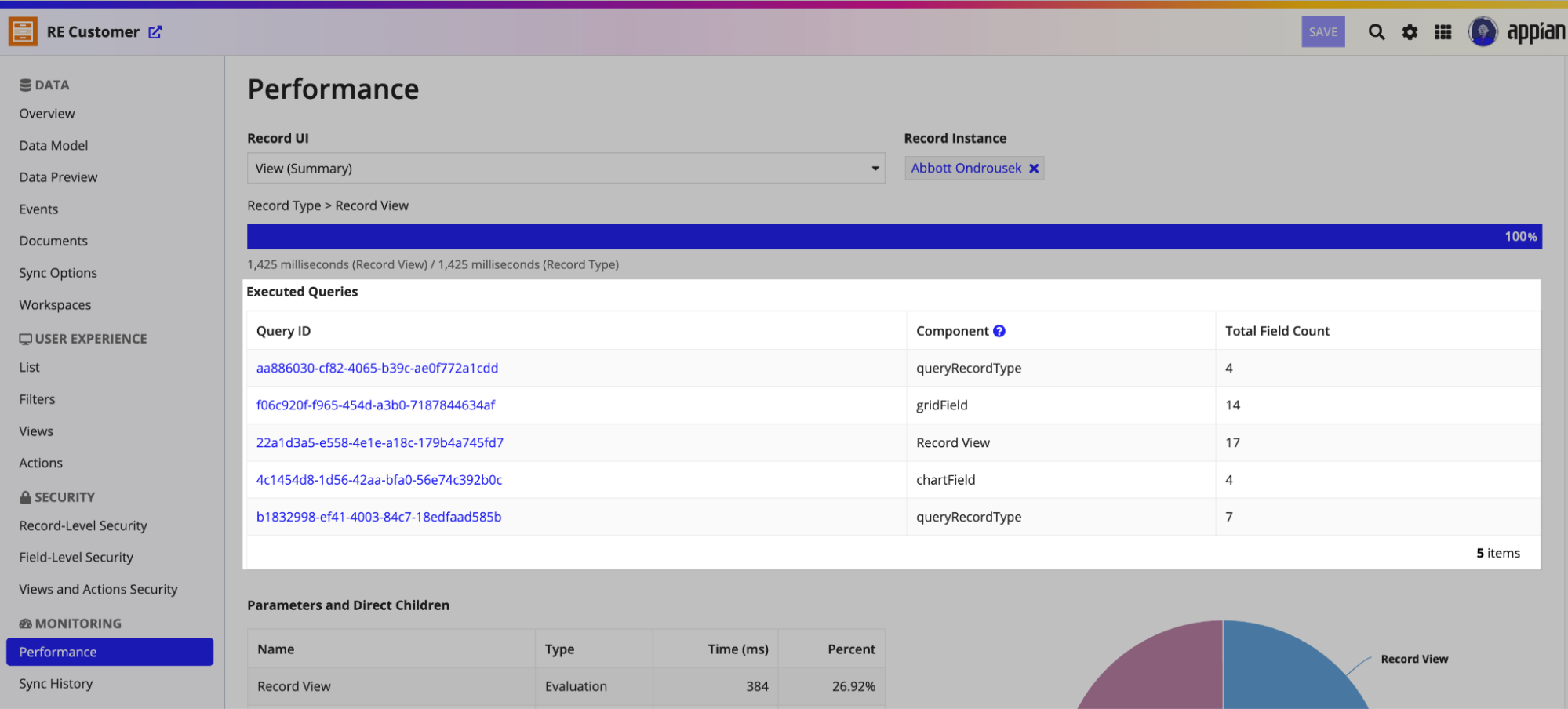 The Performance page of the record type, where the summary view performance is being evaluated and the executed queries are displayed.