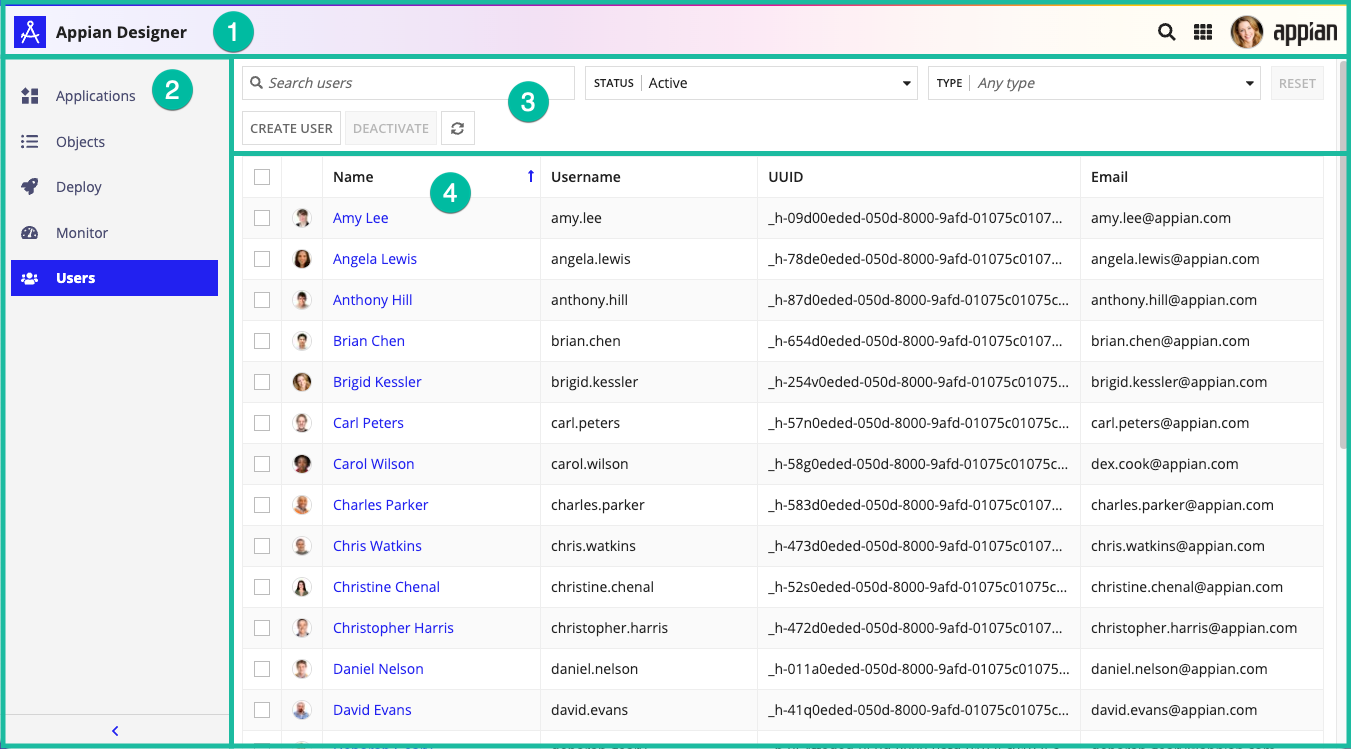 screenshot of the Users view in Appian Designer