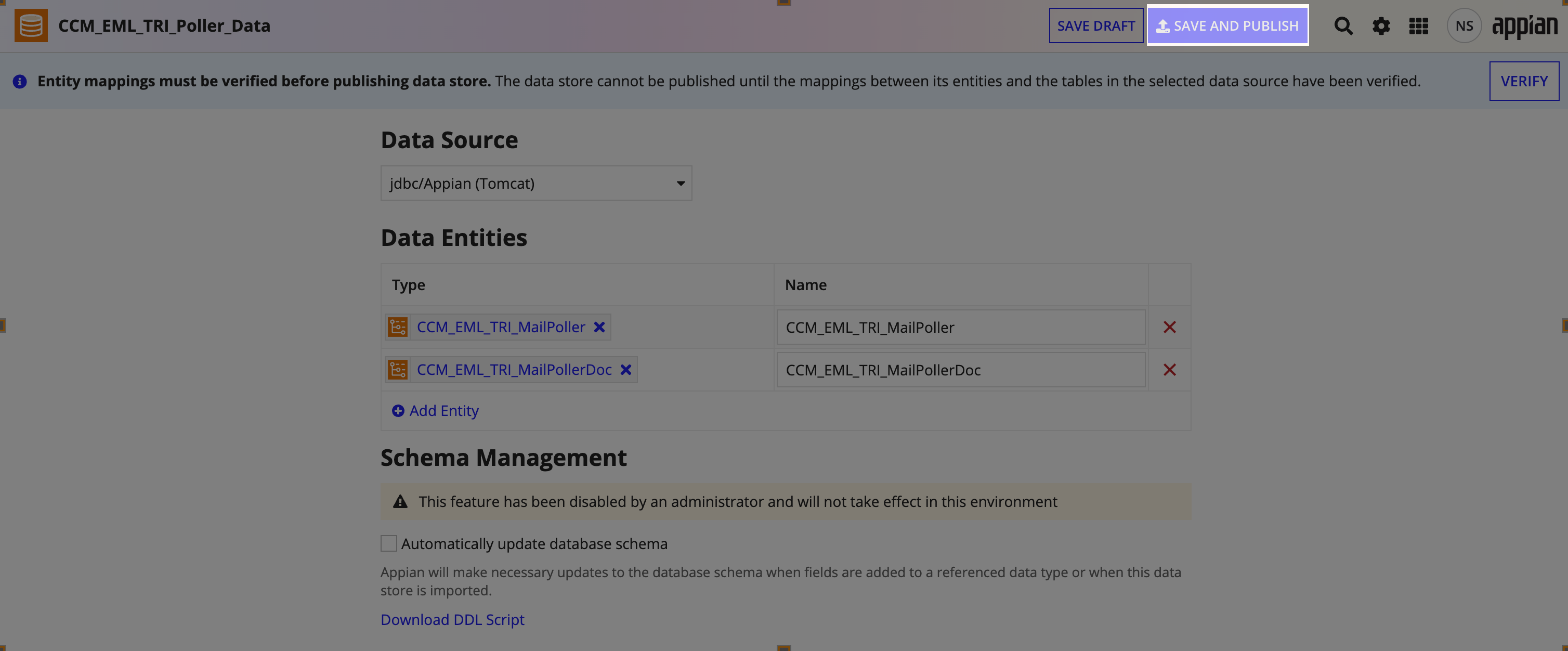 Data store entity mapping verification