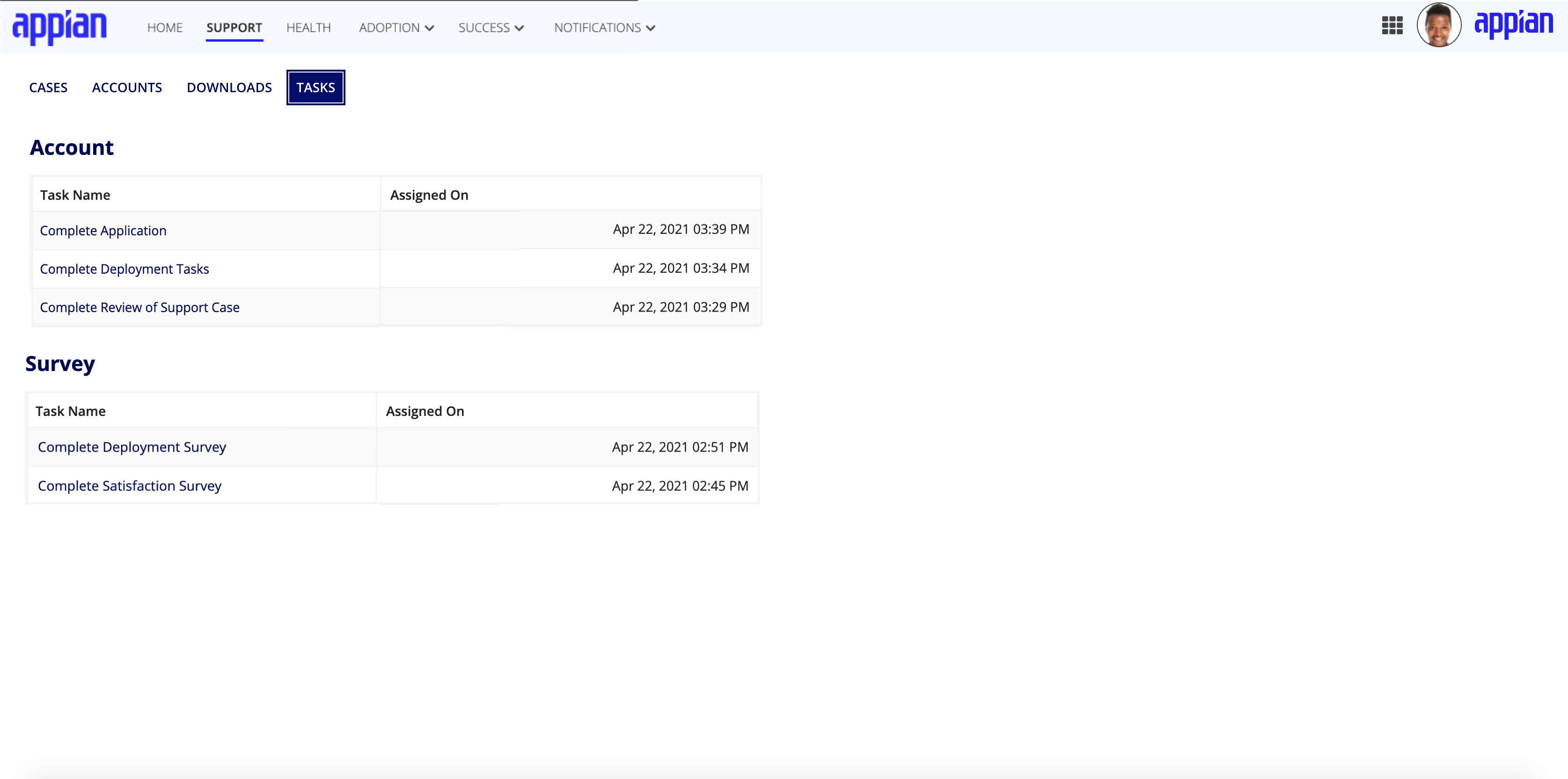 screenshot of the MyAppian Tasks page in the Support tab