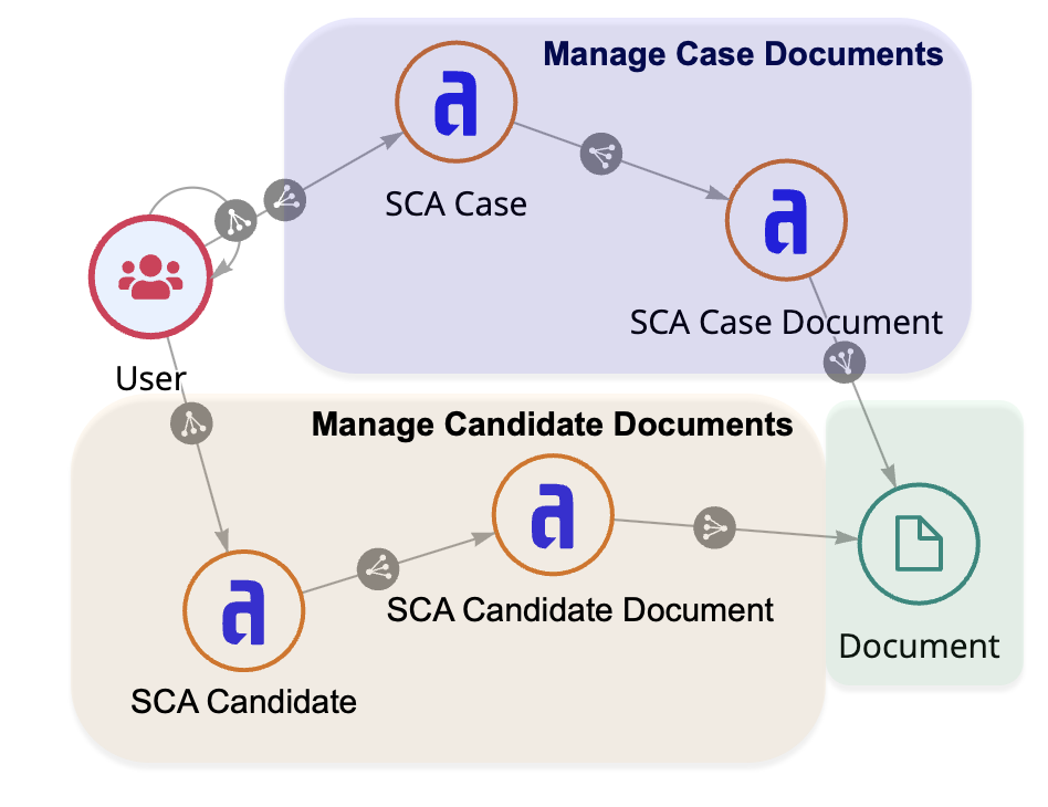 Relationship diagram of the Case Document record type and Candidate Document record type