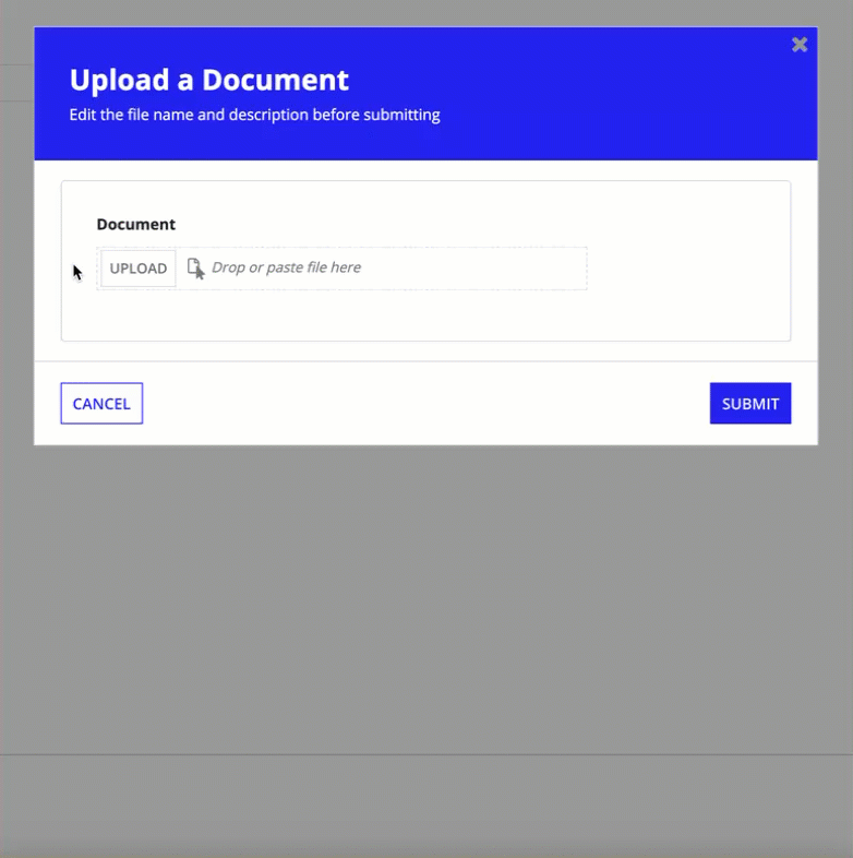 images/edit-document-details-before-submitting.gif