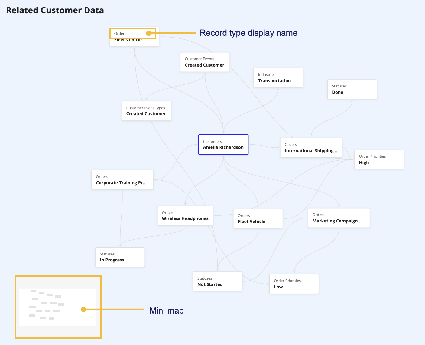 The record knowledge graph component showing user-friendly record type display names, with the mini map hidden using the showMiniMap parameter.